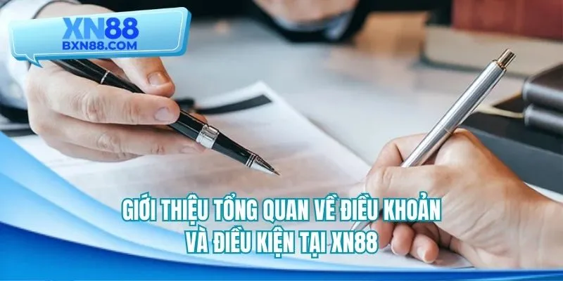Khái quát các điều trong điều khoản và điều kiện của sân chơi