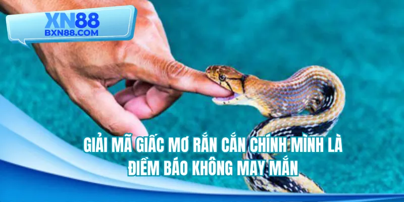 Giải mã giấc mơ rắn cắn chính mình là điềm báo không may mắn