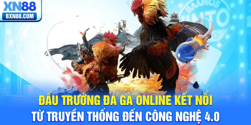 Đấu Trường đá gà online Kết Nối Từ Truyền Thống Đến Công Nghệ 4.0